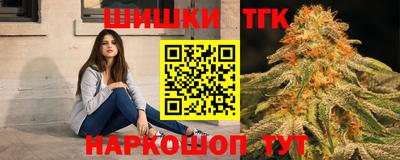 дживик Можга