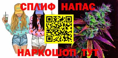 дживик Можга