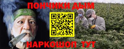 дживик Можга
