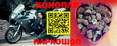 дживик Можга
