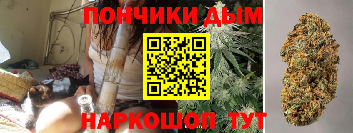 Каннабис MAZAR Пугачёв